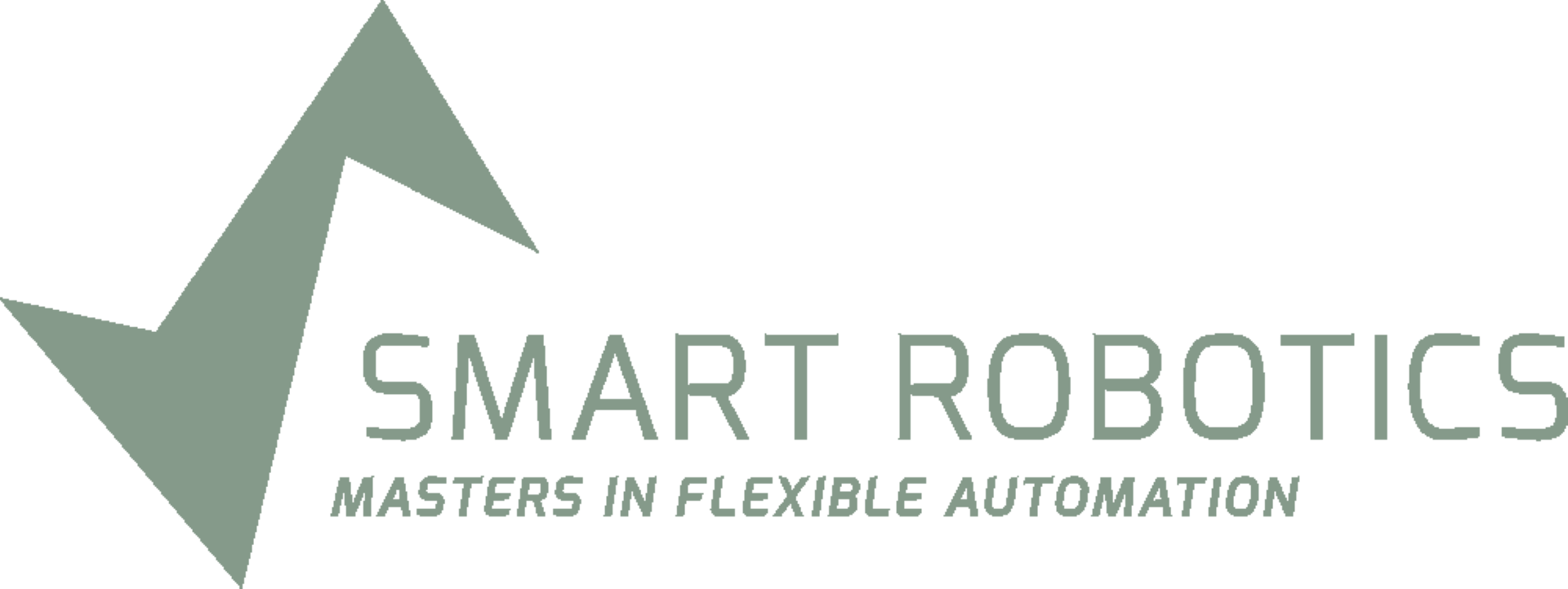 Smart Robotics